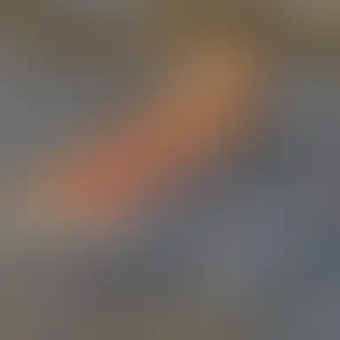 Profile image of 遥