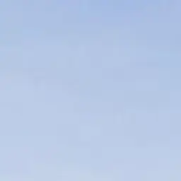 Profile image of 괴롭힘