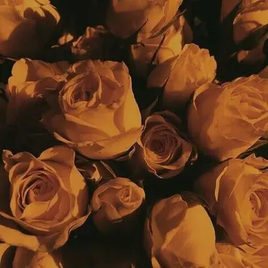 Profile image of 각별