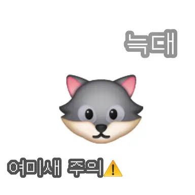 Profile image of 늑대