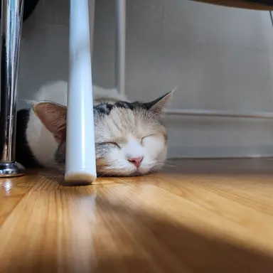 Profile image of user