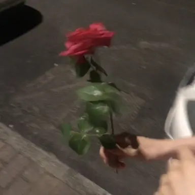 Profile image of 오현재