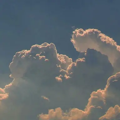 Profile image of 파이브