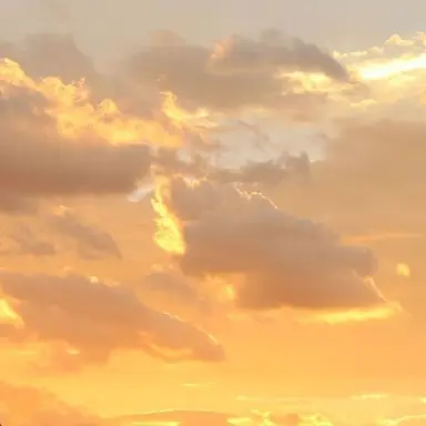 Profile image of 쪼만