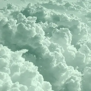 Profile image of 티푸