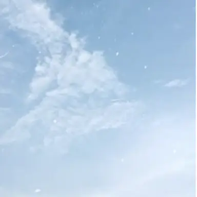 Profile image of 渡辺翔太