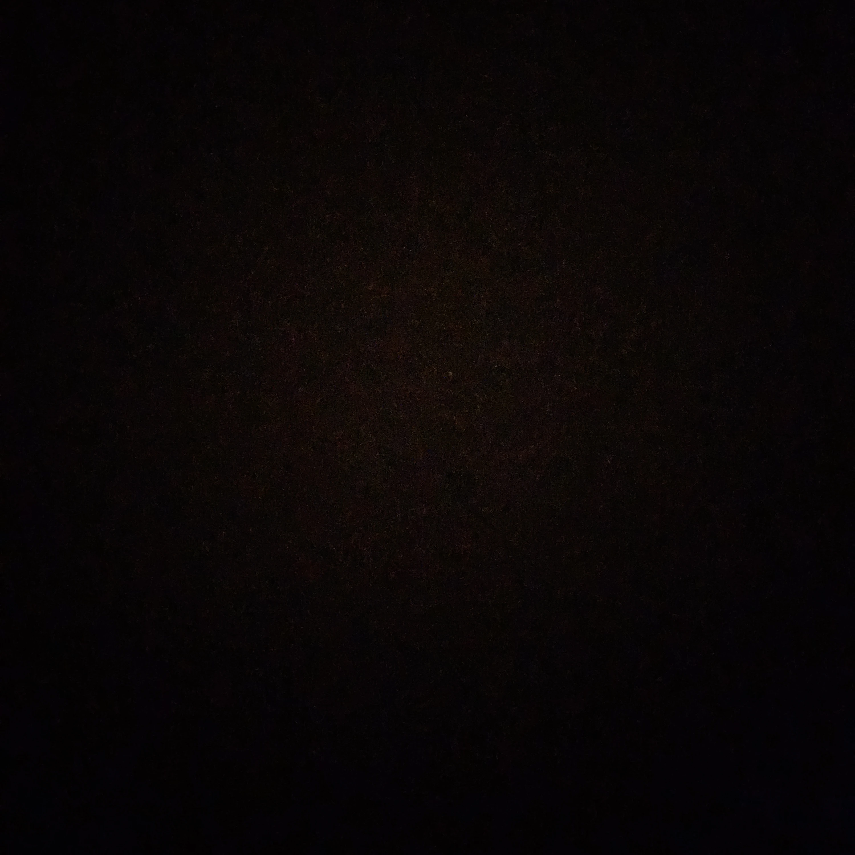박원빈