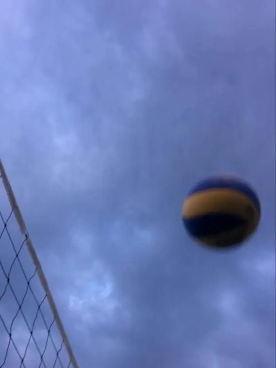 volleyball.fan8-1120의 バレーボール女子日本代表