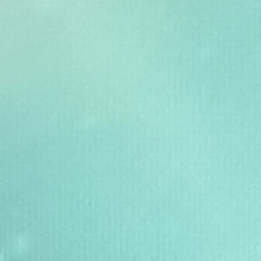 지민
