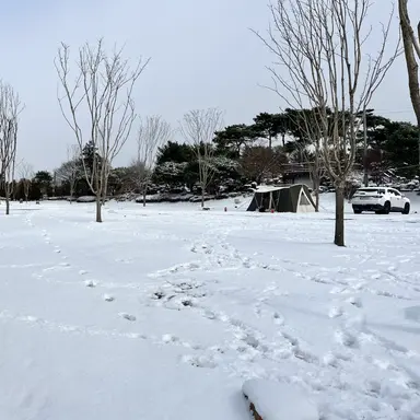 Profile image of 이한울