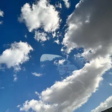 Profile image of 서지우