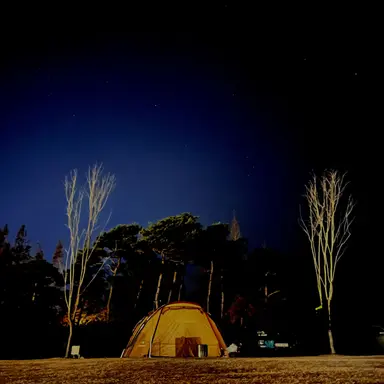 Profile image of 은별