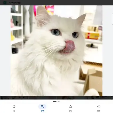 Profile image of 크림