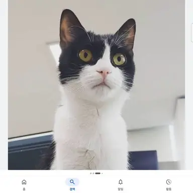 Profile image of 레오