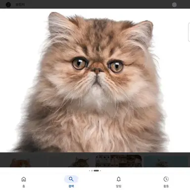 Profile image of 늑대