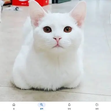 Profile image of 우유