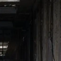 Profile image of 主催者