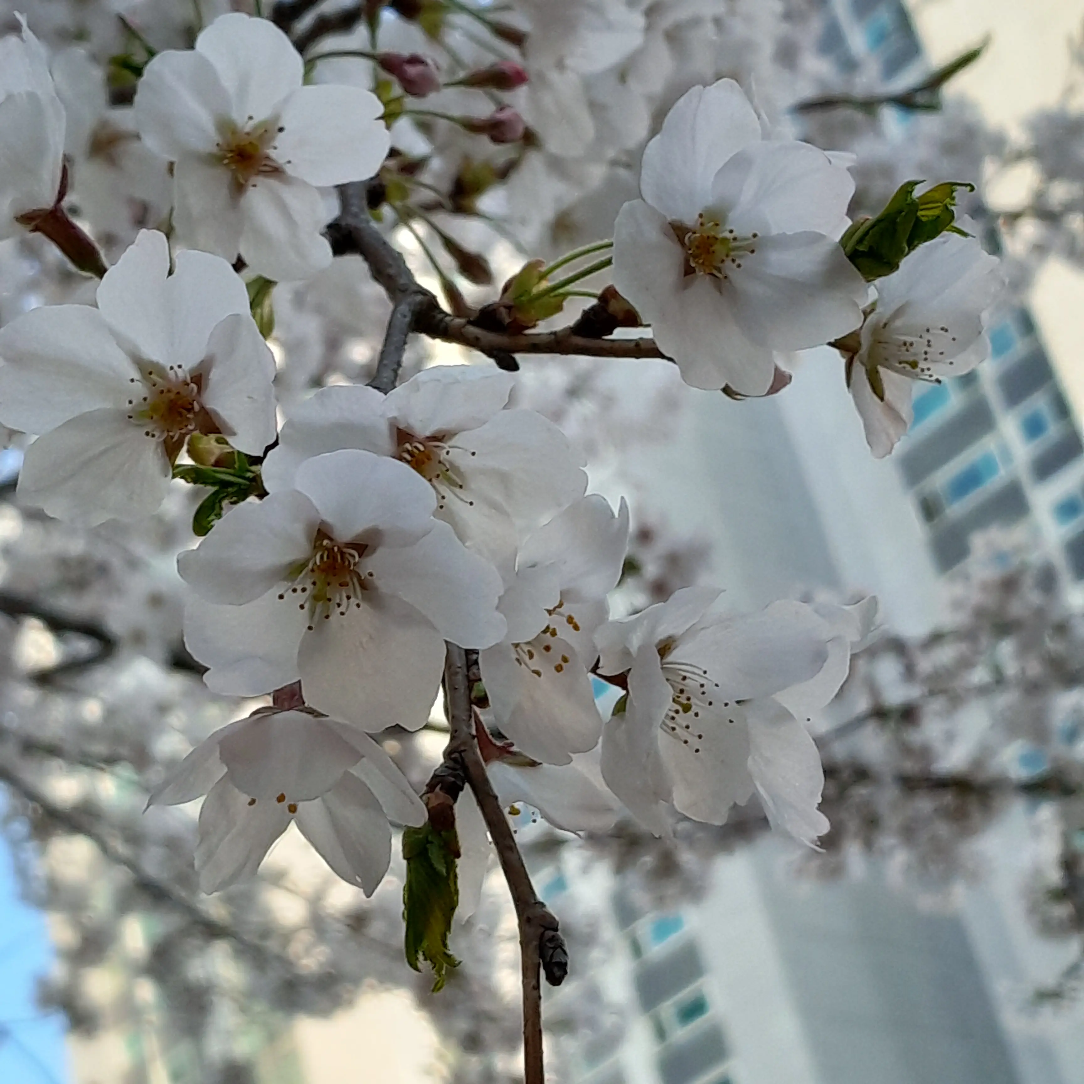 SharpDebt5225의 김규빈과 바람