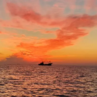 Profile image of 렌고쿠 쿄쥬로