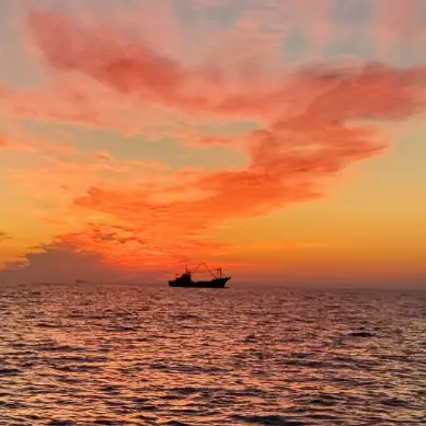 StableRazor7540의 렌고쿠 쿄쥬로의 방귀고문