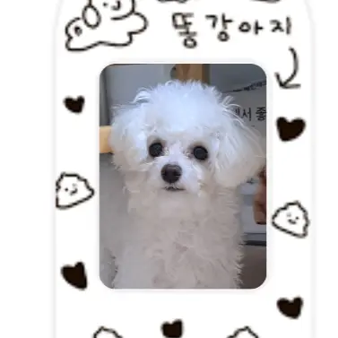 Babypig의 구름이