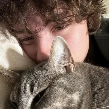 Profile image of ashton