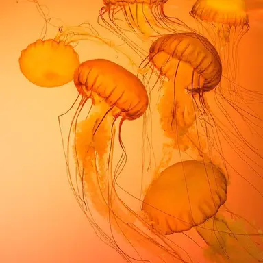 Profile image of 박 덕개