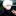 고죠 사토루
