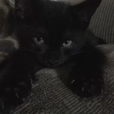 Profile image of 나백진