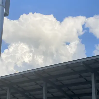 Profile image of 픽셀리 아이돌