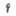 사쿠라