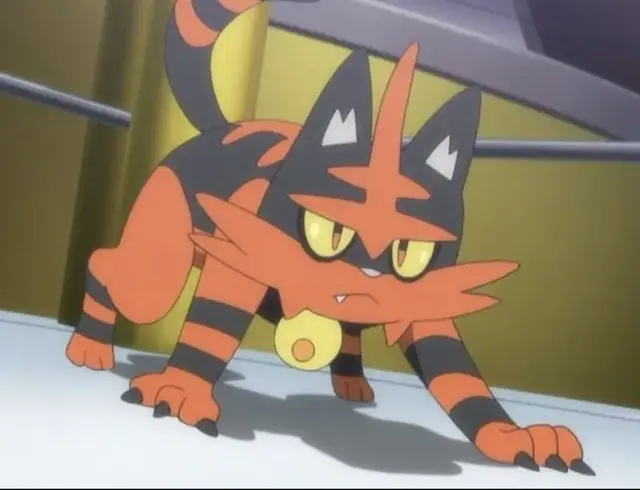 Profile image of Ash