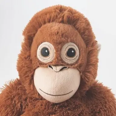 Profile image of 정오랑