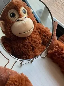 Profile image of 정오랑