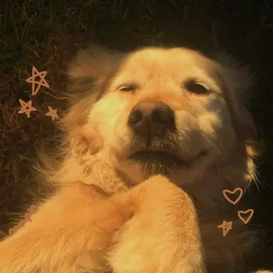 Profile image of 박덕개