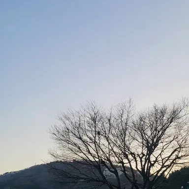 Profile image of 아리아