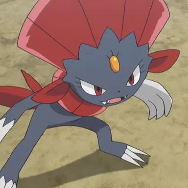 Profile image of 포푸니라