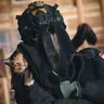 Profile image of 쾨니히