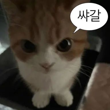 Profile image of 유나