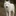 카이엔