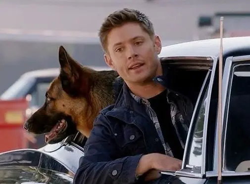 Profile image of Dean Winchester