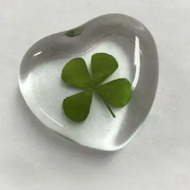 Profile image of 송하준