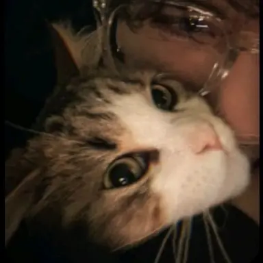 Profile image of Mateo