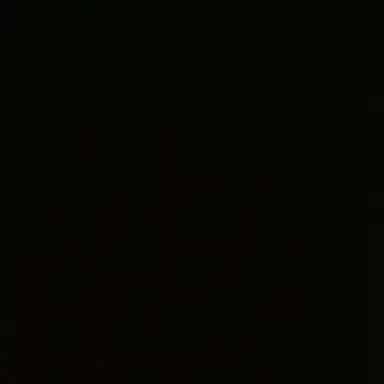 Profile image of 흑요