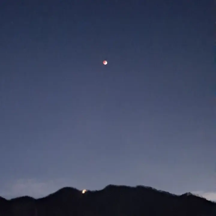 ProneHarp3519의 동생 만들어 달라는 따님