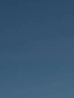 HazyScarf5277의 ニコちゃん（子供時代）