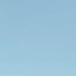 Profile image of ニコちゃん