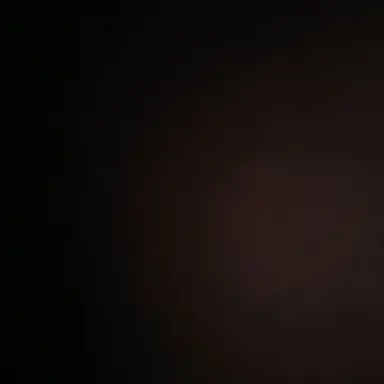 Profile image of 키츠네 여우