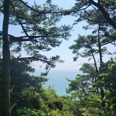 Profile image of 유지민