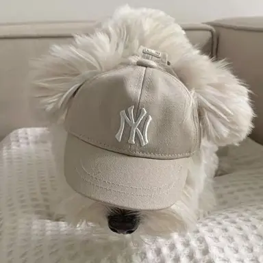 Profile image of 吉野